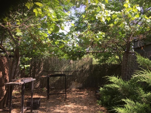 אחוזה במטולה image 24