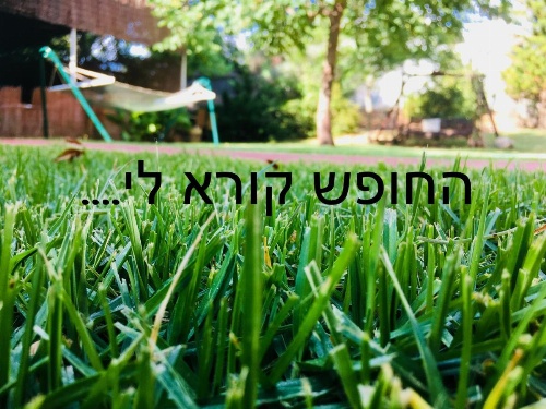 אחוזה במטולה image 32